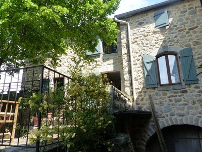 Terrasse ombragée par un vieux tilleul