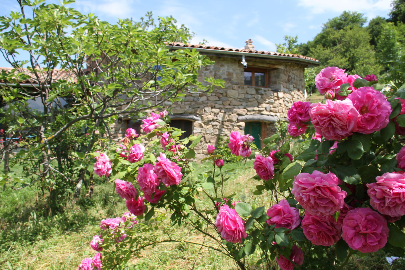 vue sud du châtaignier
