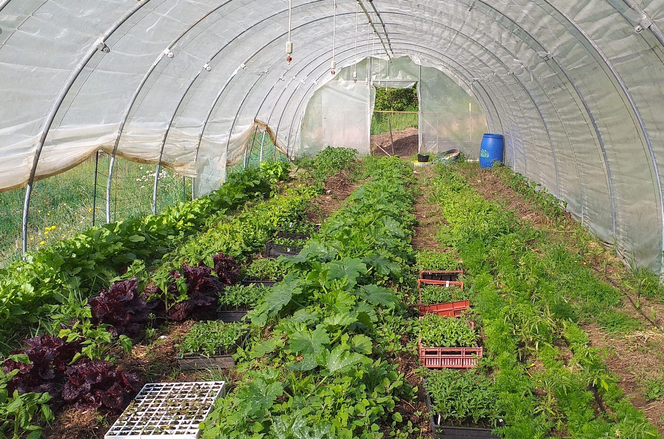 Les Jardins de Peyni_Saint-Romain-de-Lerps