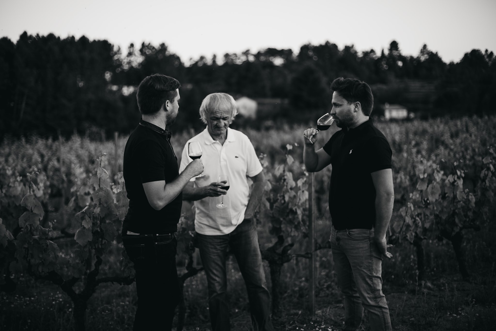 vignes