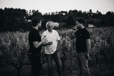 vignes