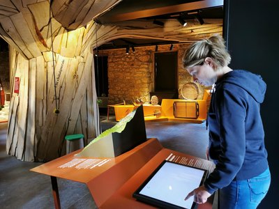 Borne interactive