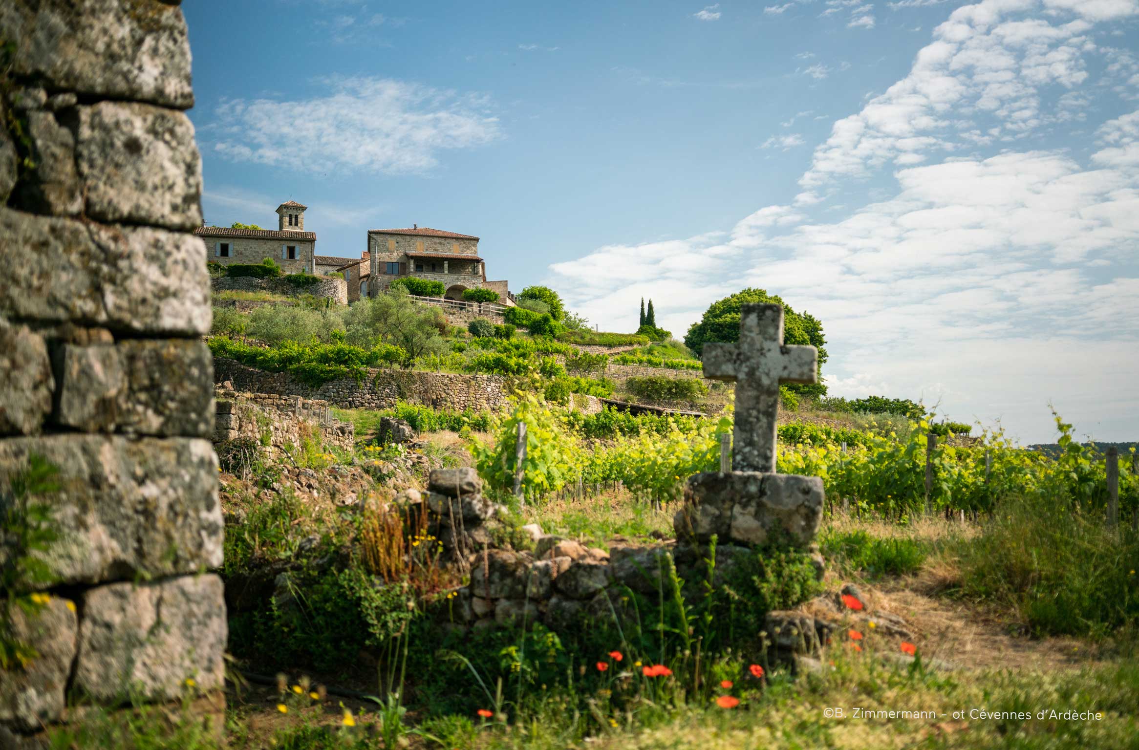 Trail le sentier des crouvelus ribes