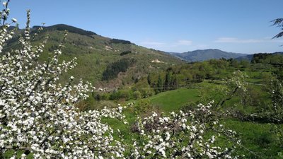 Ferme Boulon_Jaunac