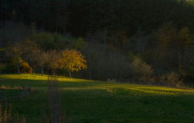 Soir