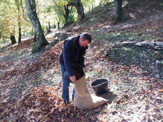 Ferme Les Alrassets