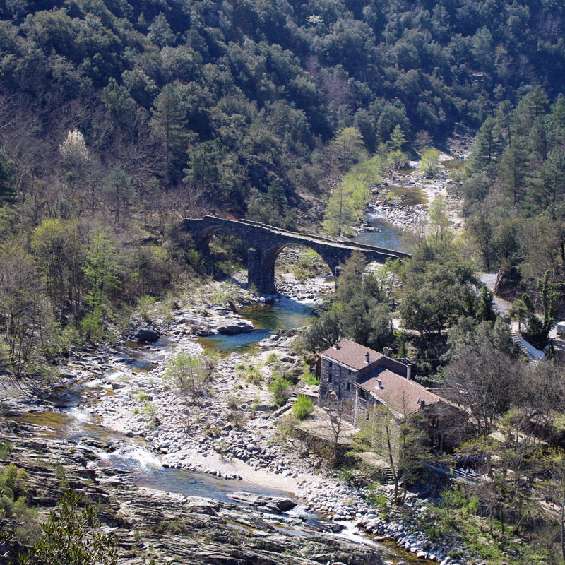 Pont de la Brousse_Saint-Mélany