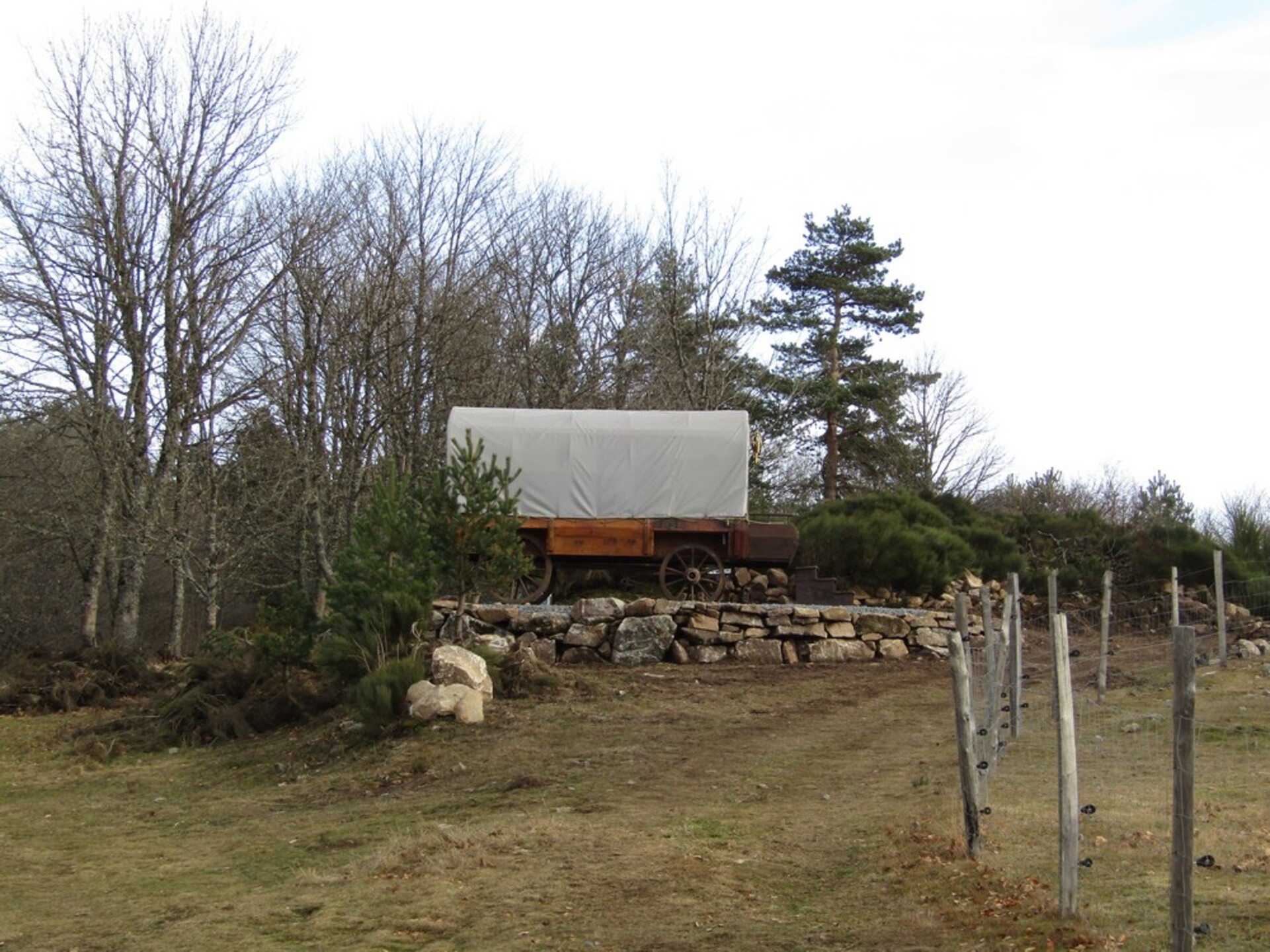 Calèche western Bergerie du Plateau_Cros-de-Géorand