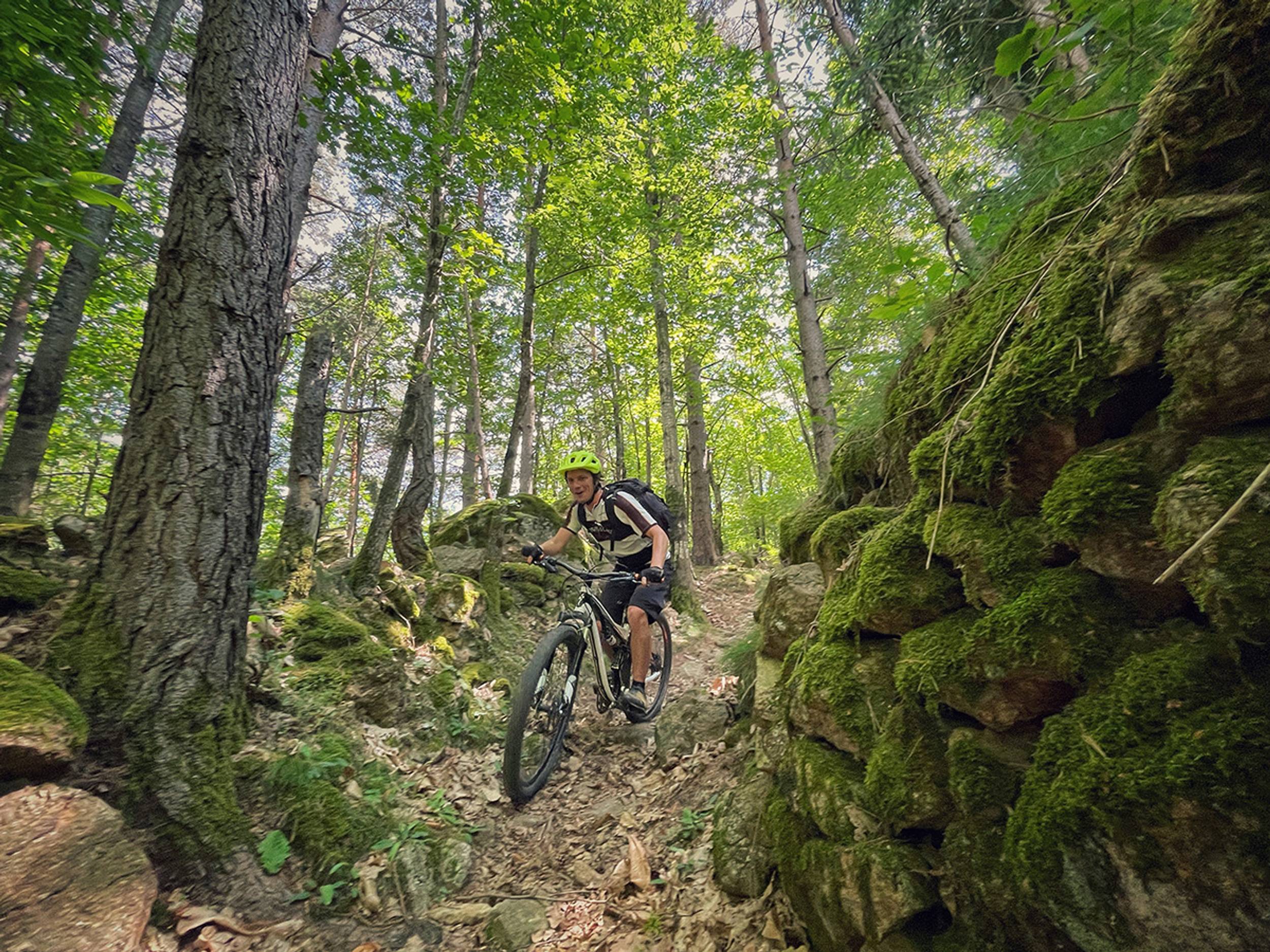 VTT en sous-bois