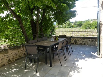 La terrasse à l'ombre du tilleul