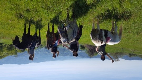 Balade à cheval