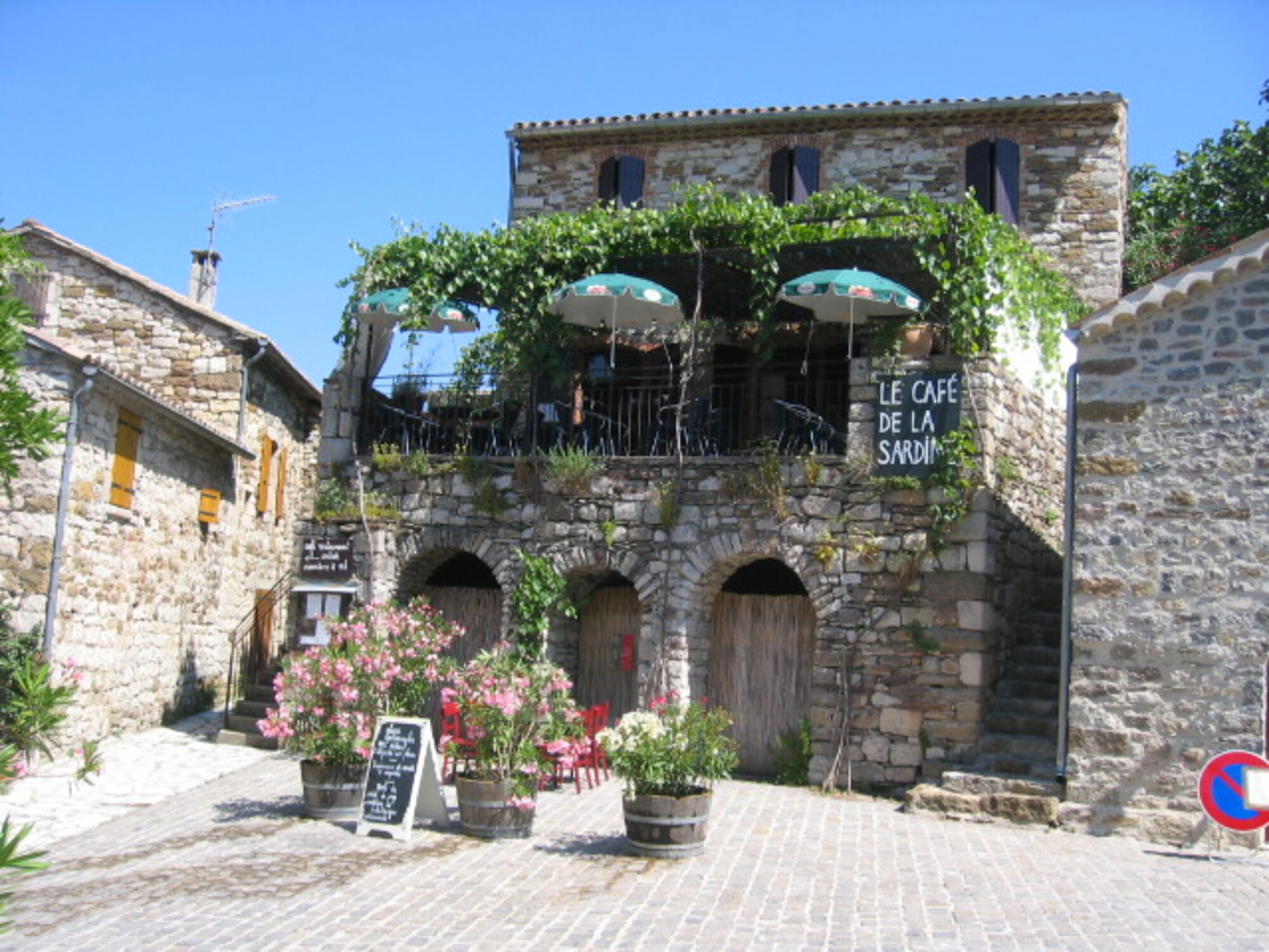 La sardine sous la vigne_Naves