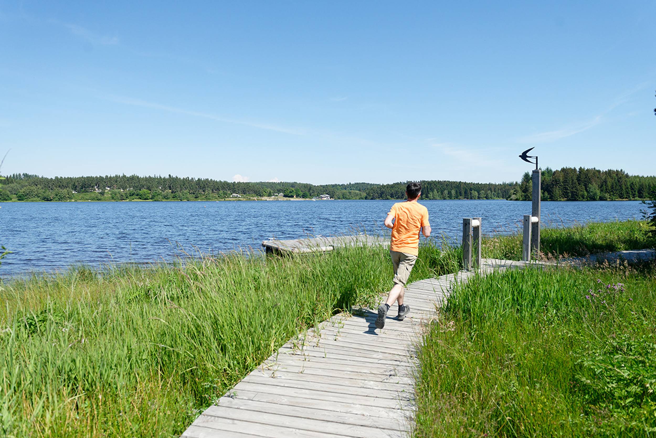 Course au Lac de Devesset