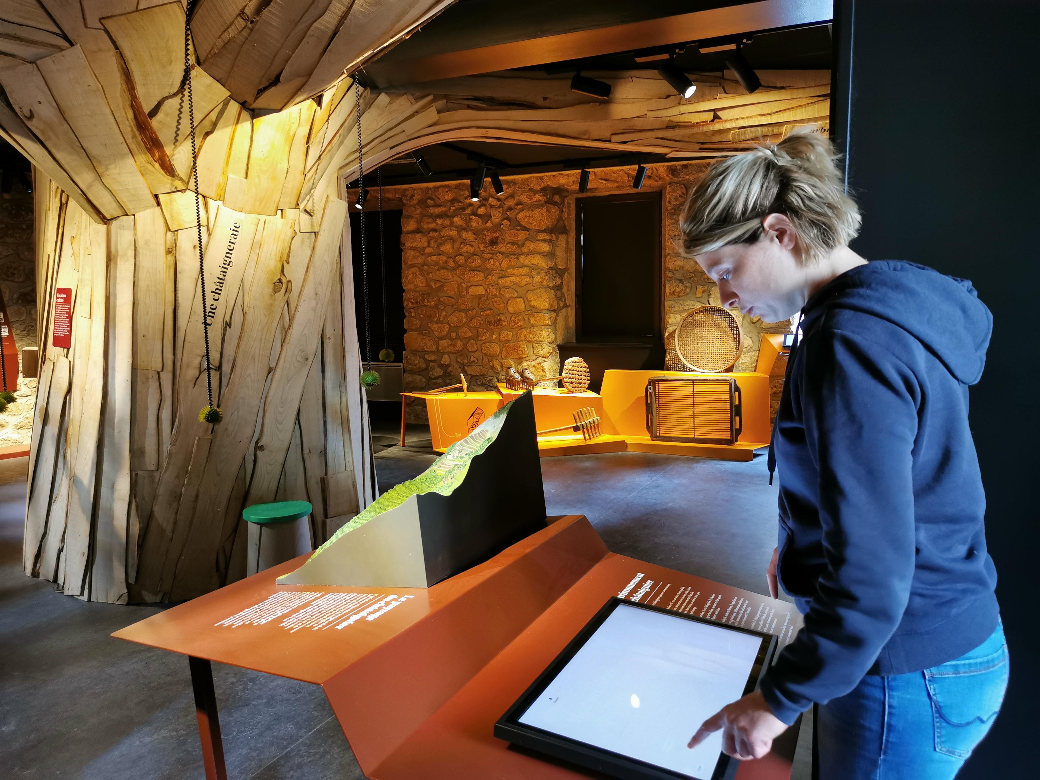Borne interactive