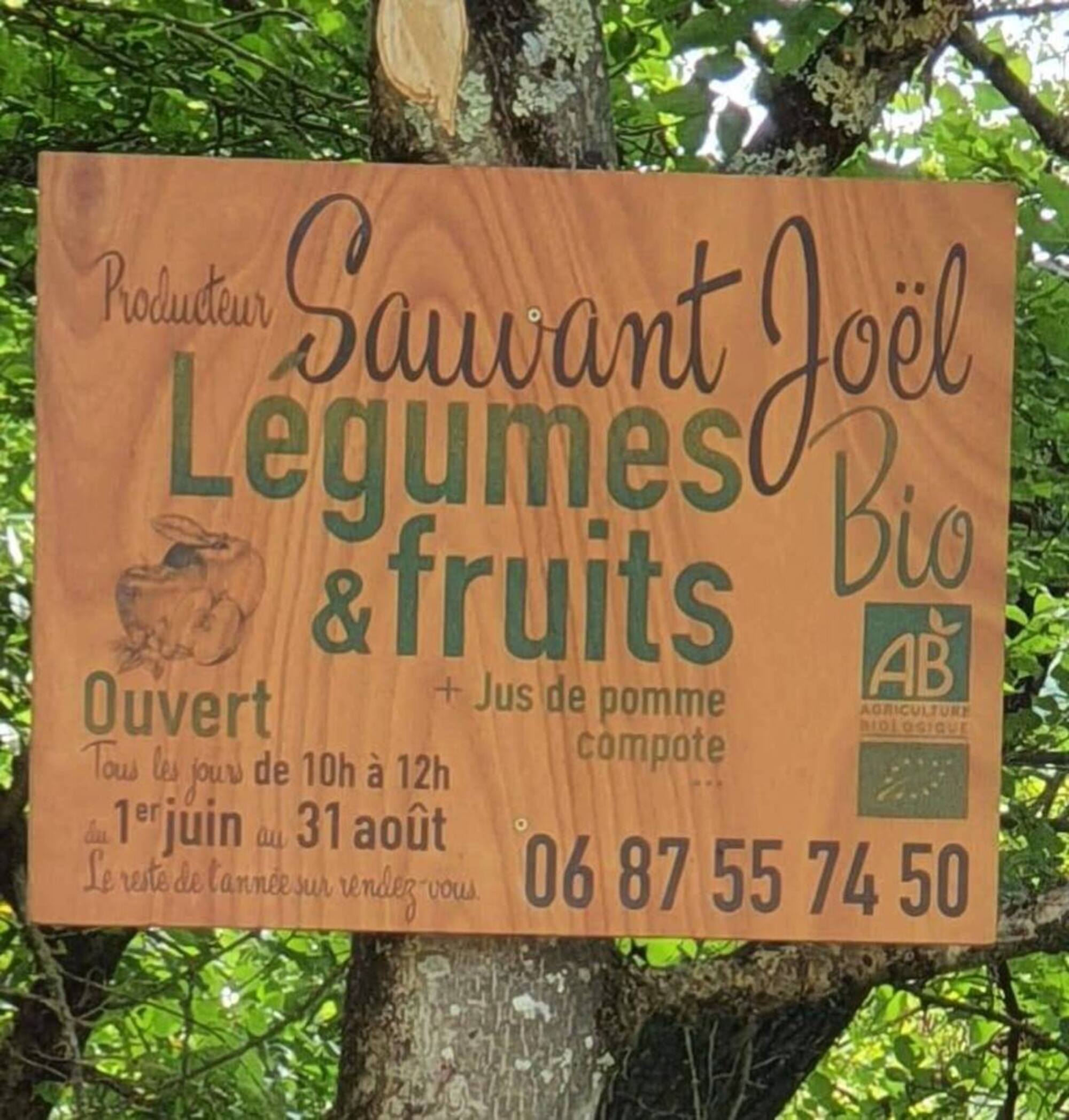 sauvant joel