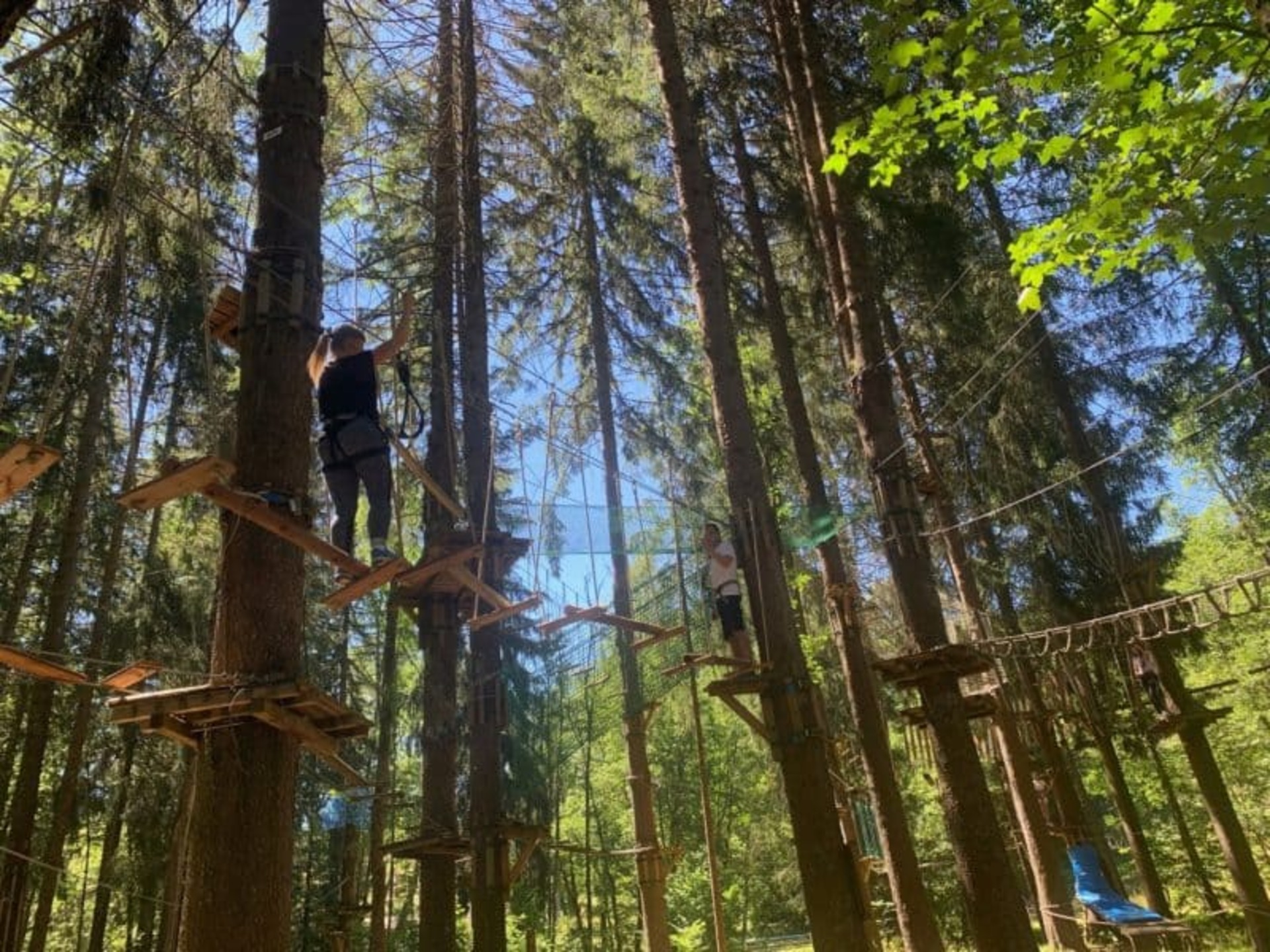Filets dans les arbres - La Croix de Bauzon_Borne