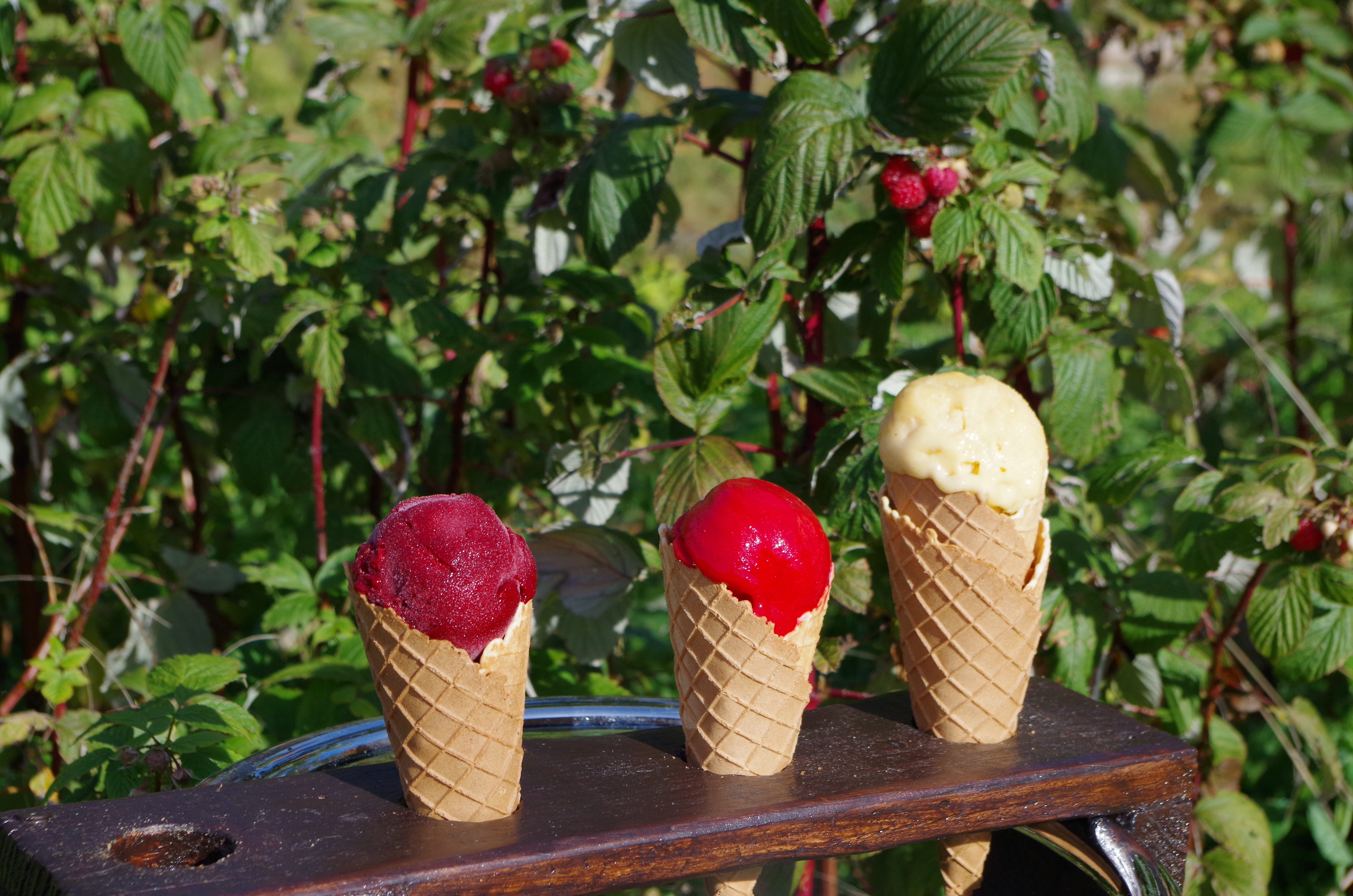 La Grange du Chaléat_Boffres