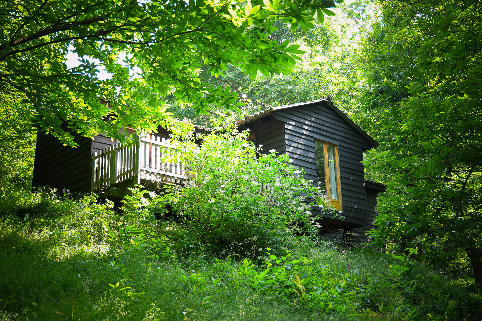 Chalet Canopée