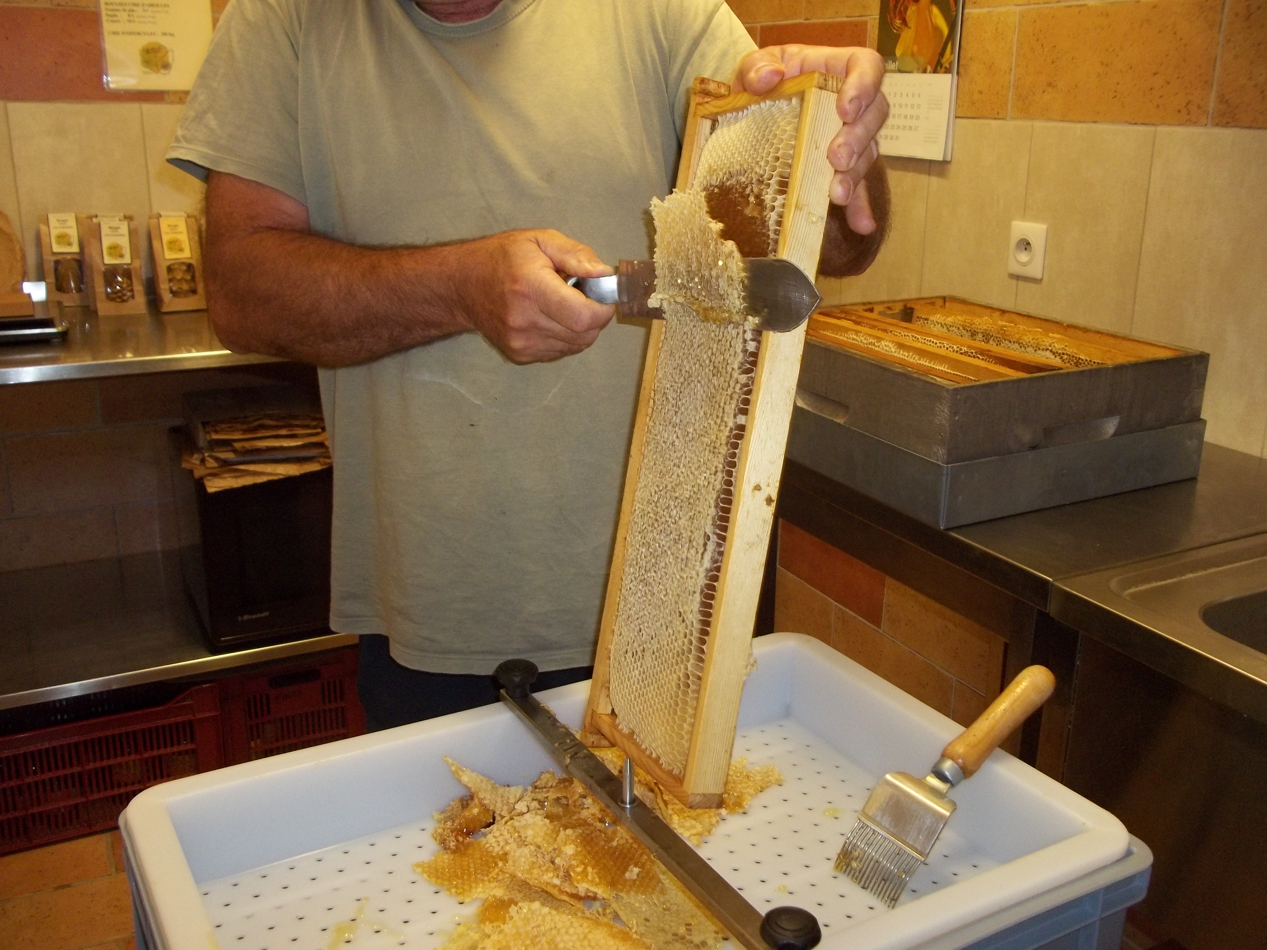 Le Rucher de Chassiers_Chassiers