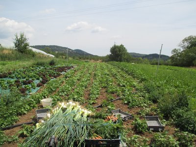la ferme du Mont