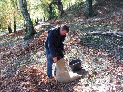 Ferme Les Alrassets