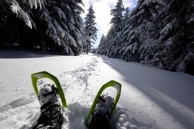 photothèque Montagne ardéchoise
