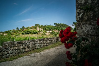 Trail fontaine des flauts