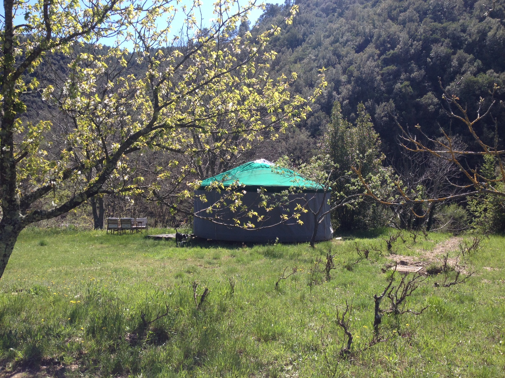 Yourte des Deux Aygues
