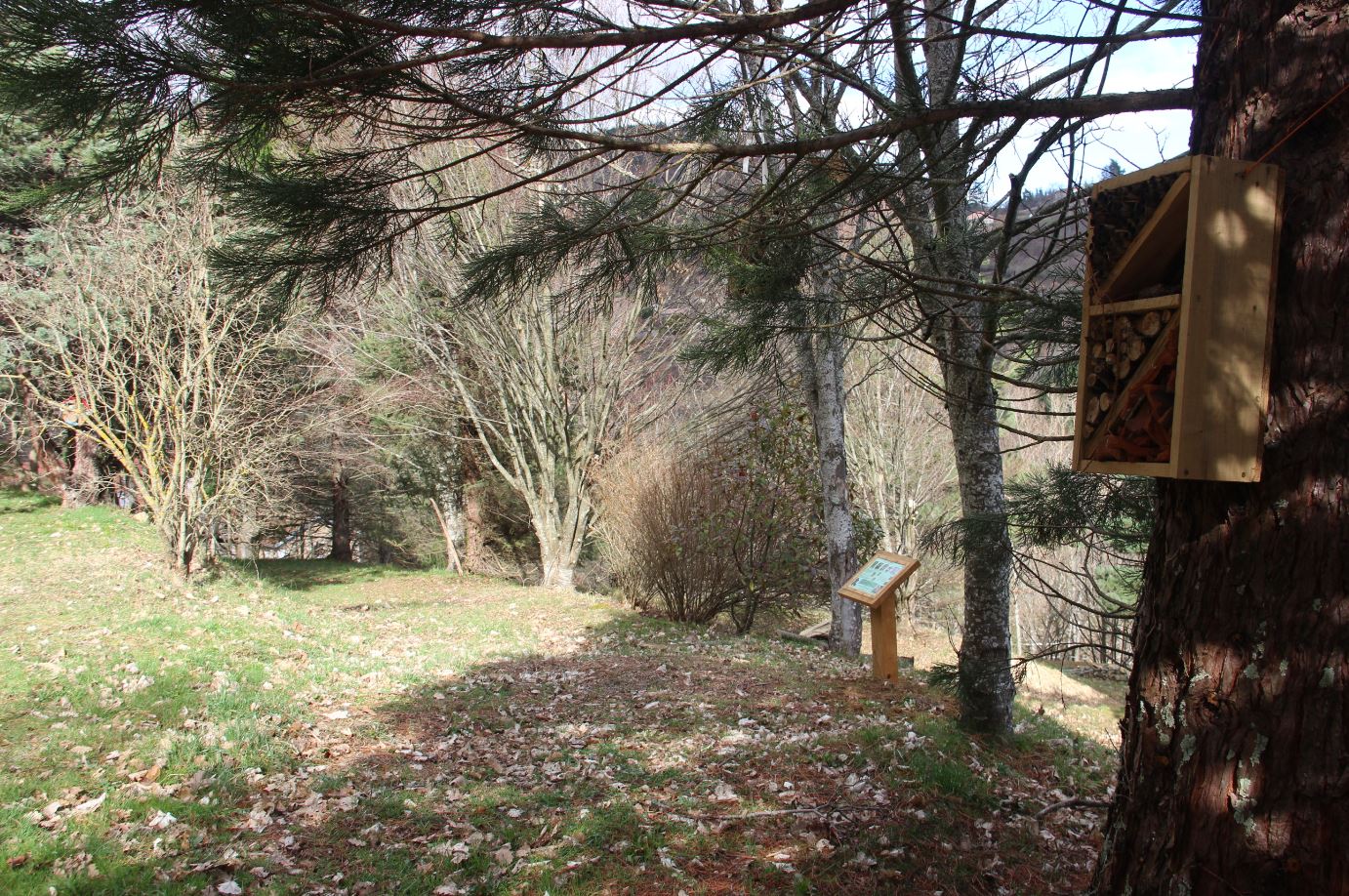 Arboretum