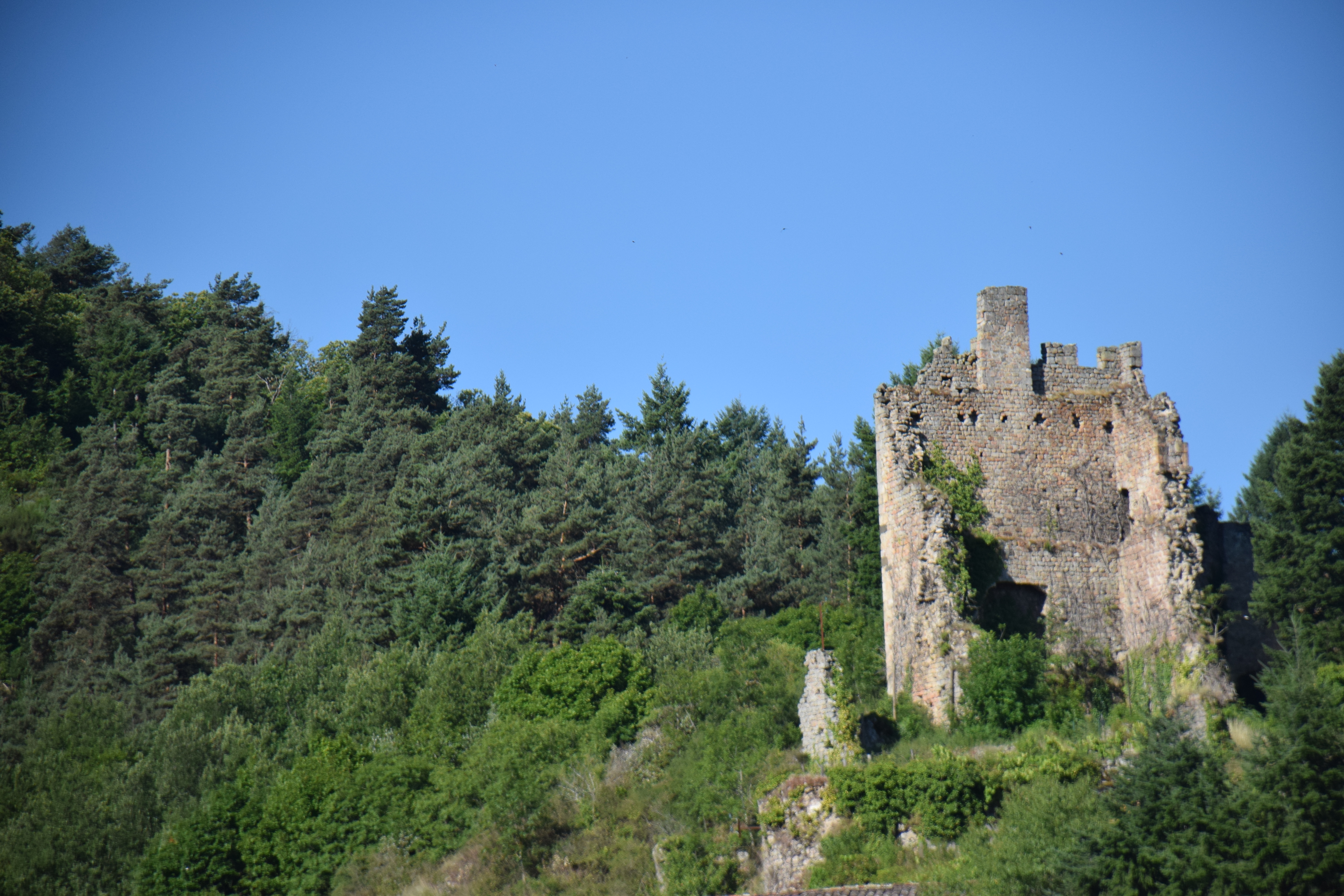 Ruines Peychelard