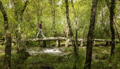 Pont Mégalithique