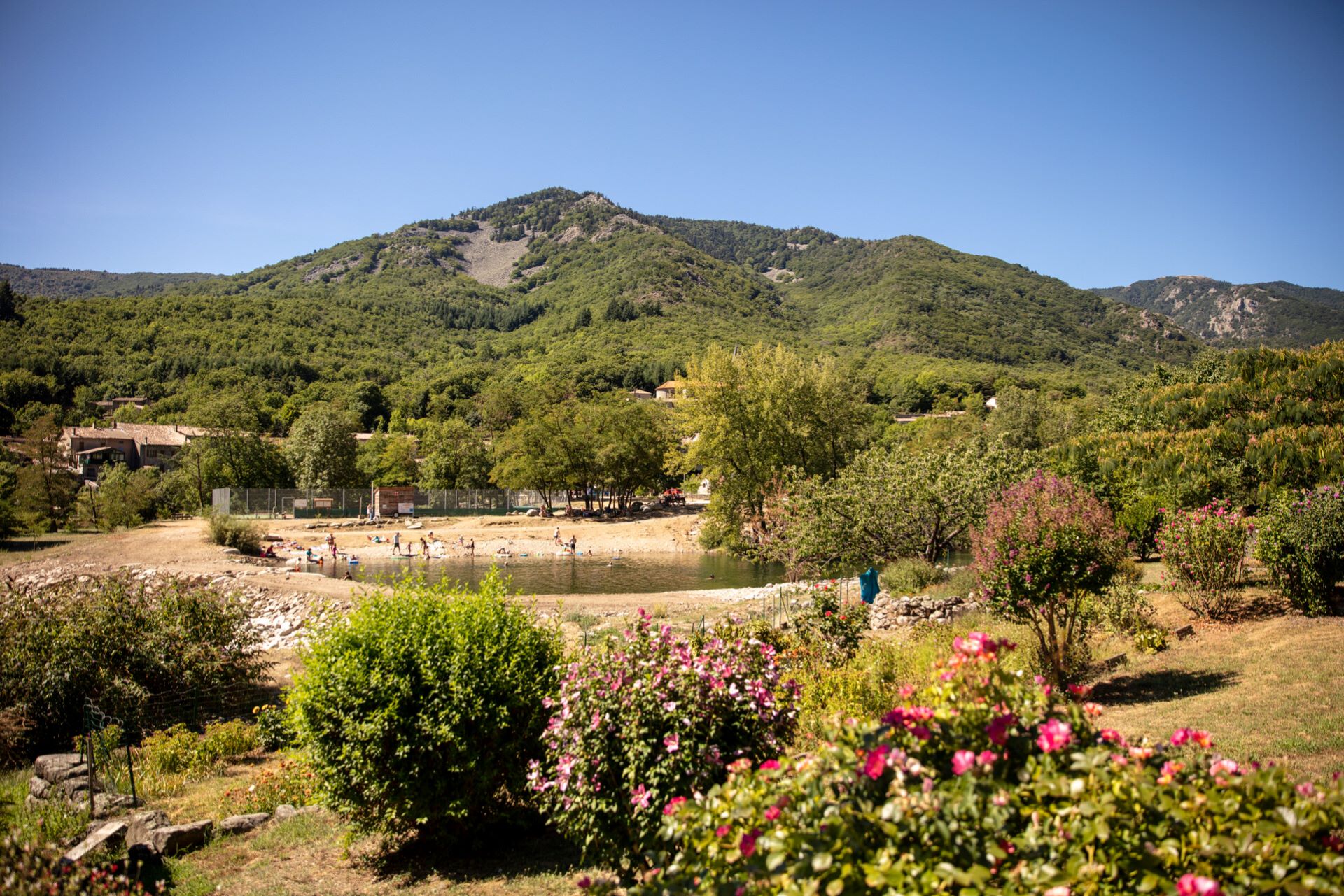 La Souche - Plan d'eau en fleurs ©sourcesvolcans