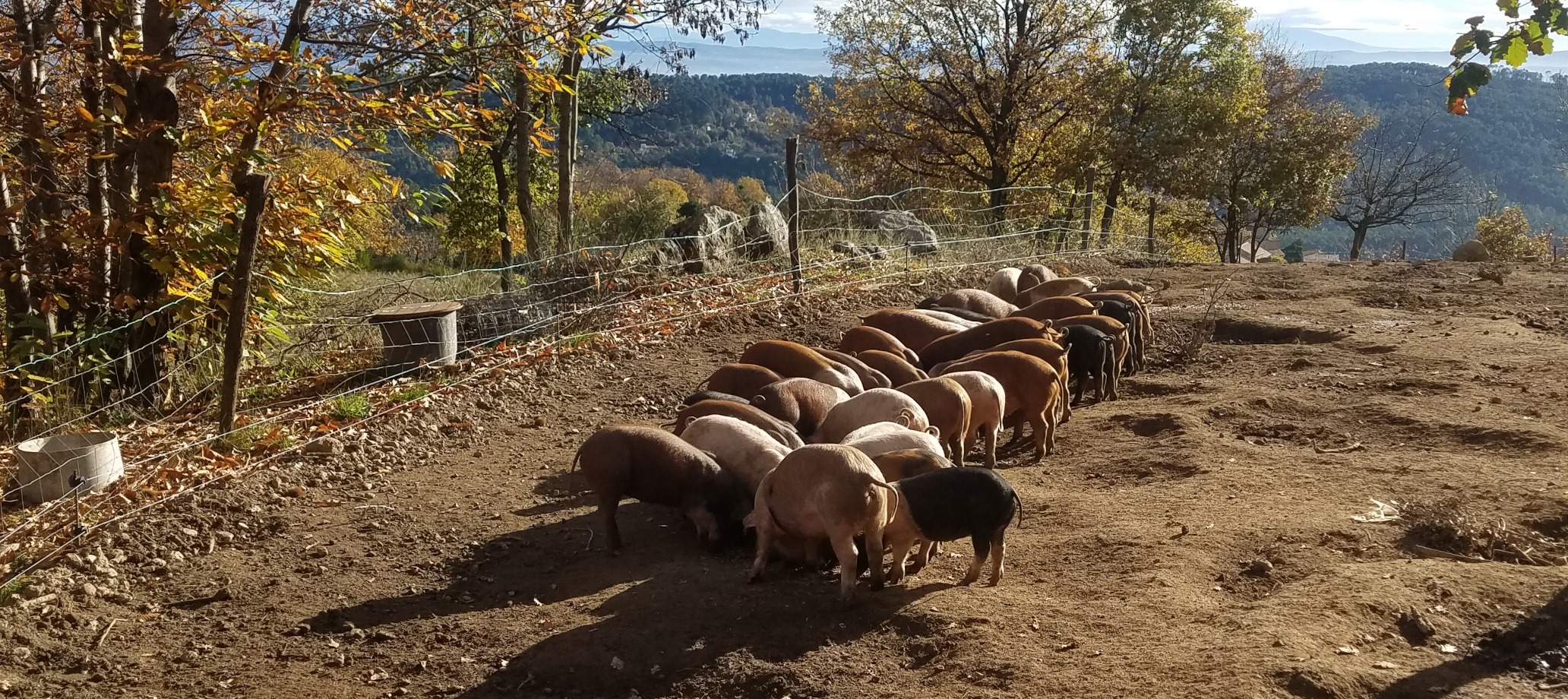 La Ferme du Chazalet