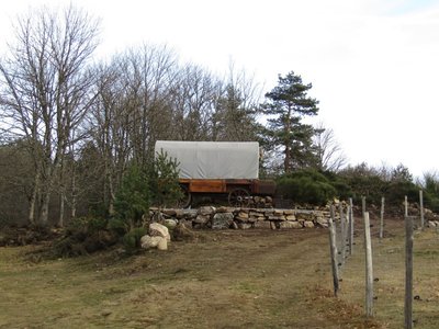 Calèche western Bergerie du Plateau_Cros-de-Géorand