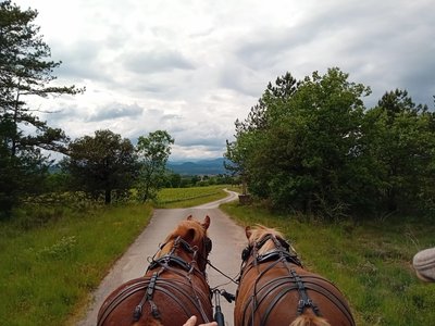 Sur le parcours