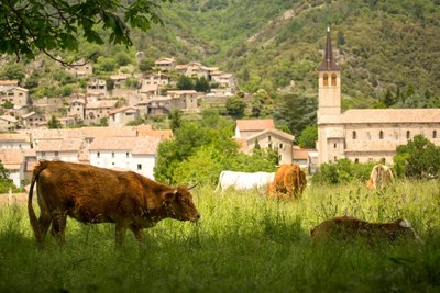 Jaujac-vue d l'église st Bonnet depuis la maison du Parc