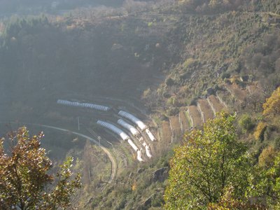 Terrasses cultivées - Vallée de l'Eyrieux