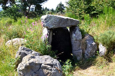 Le dolmen d'Echamps