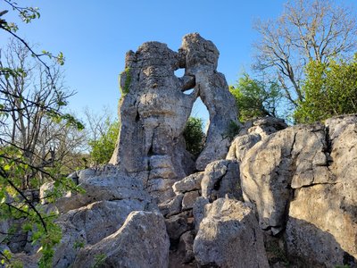 L'ours et le lion