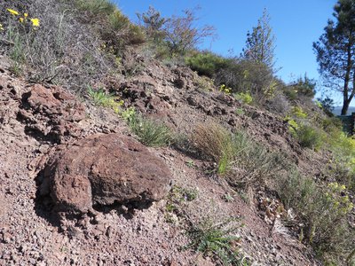 Bombes volcaniques dans la montée du Souilhol, N Klee