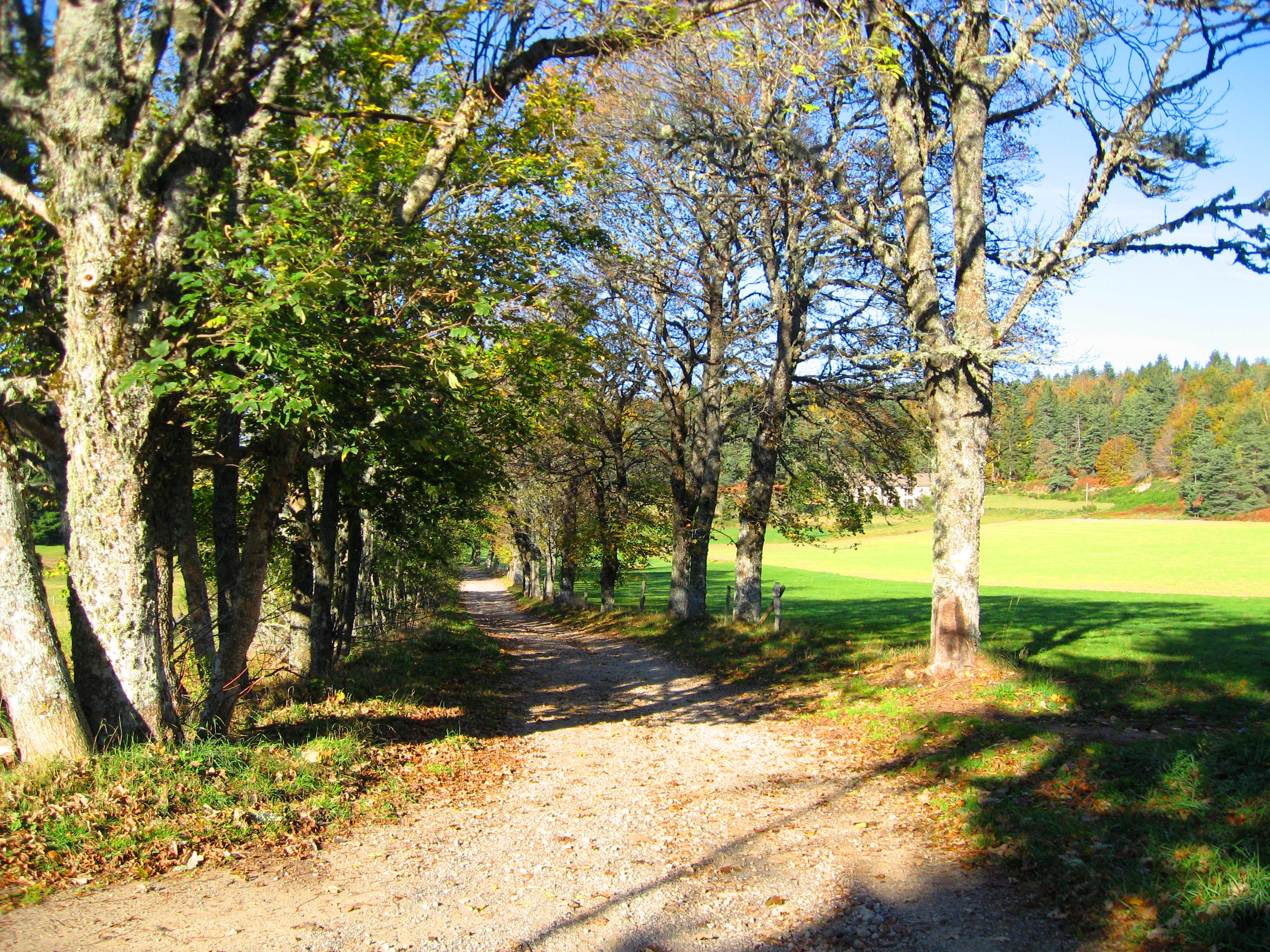 Un beau chemin autour de St André