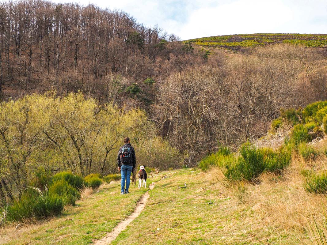 Chemin à Issamoulenc