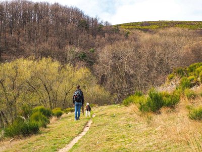 Chemin à Issamoulenc