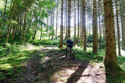 VTT en sous-bois