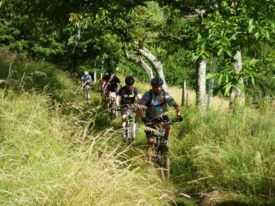 Sentier herbeux