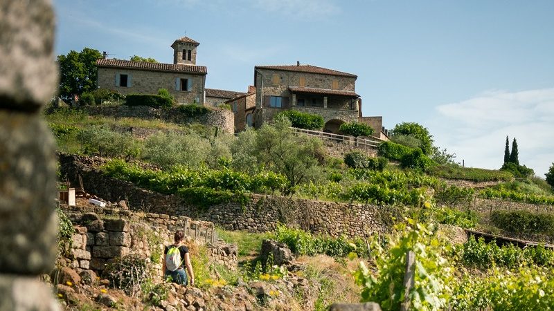 Vue sur les faïsses de Ribes