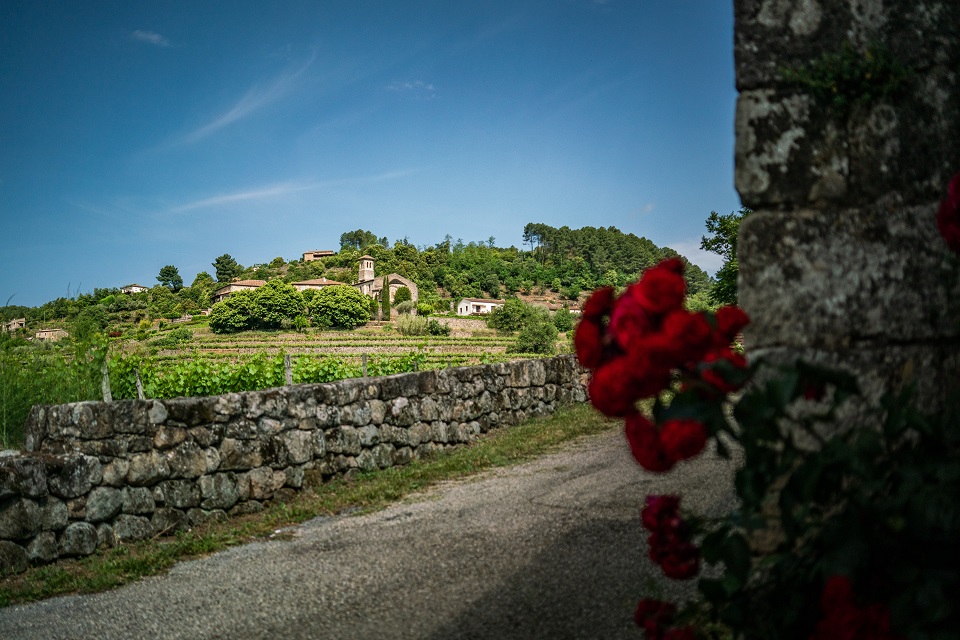 Faïsses classées de Ribes