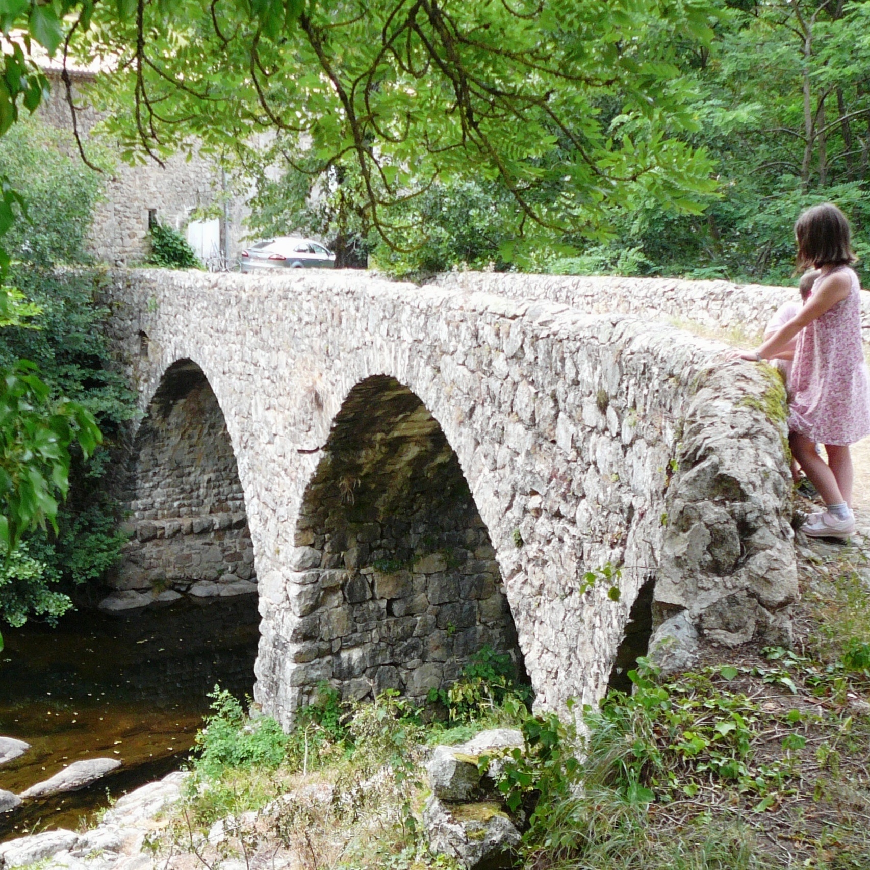 Le Pont de Champelovier surplombant la rivière La Dunière