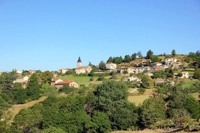 Un Pays et ses Arbres – N°9