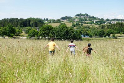 Les Ribes – N°33